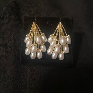 Elegant Pearl & Goldtone  Costume Pierced Earrings in light up gift box
